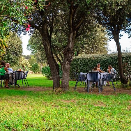 Hotel & Restaurant Les Mouettes Belgodère المظهر الخارجي الصورة